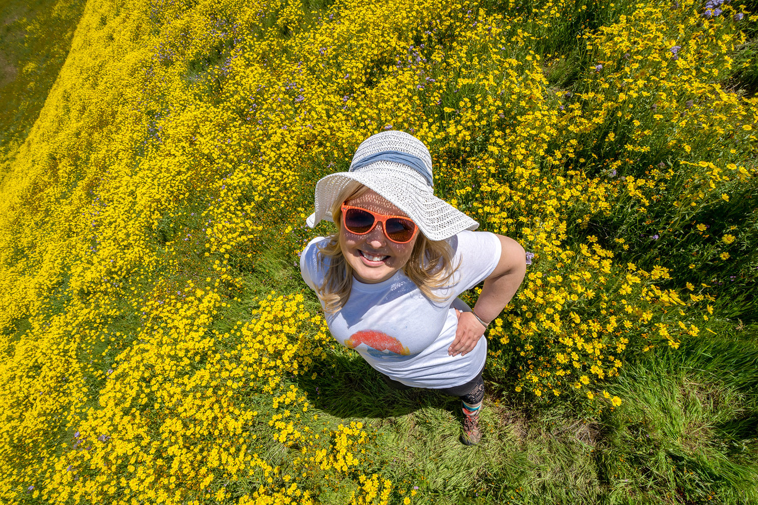 Overhead view of a woman in a yellow wildflower field wearing hiking clothing and a straw sun hat.