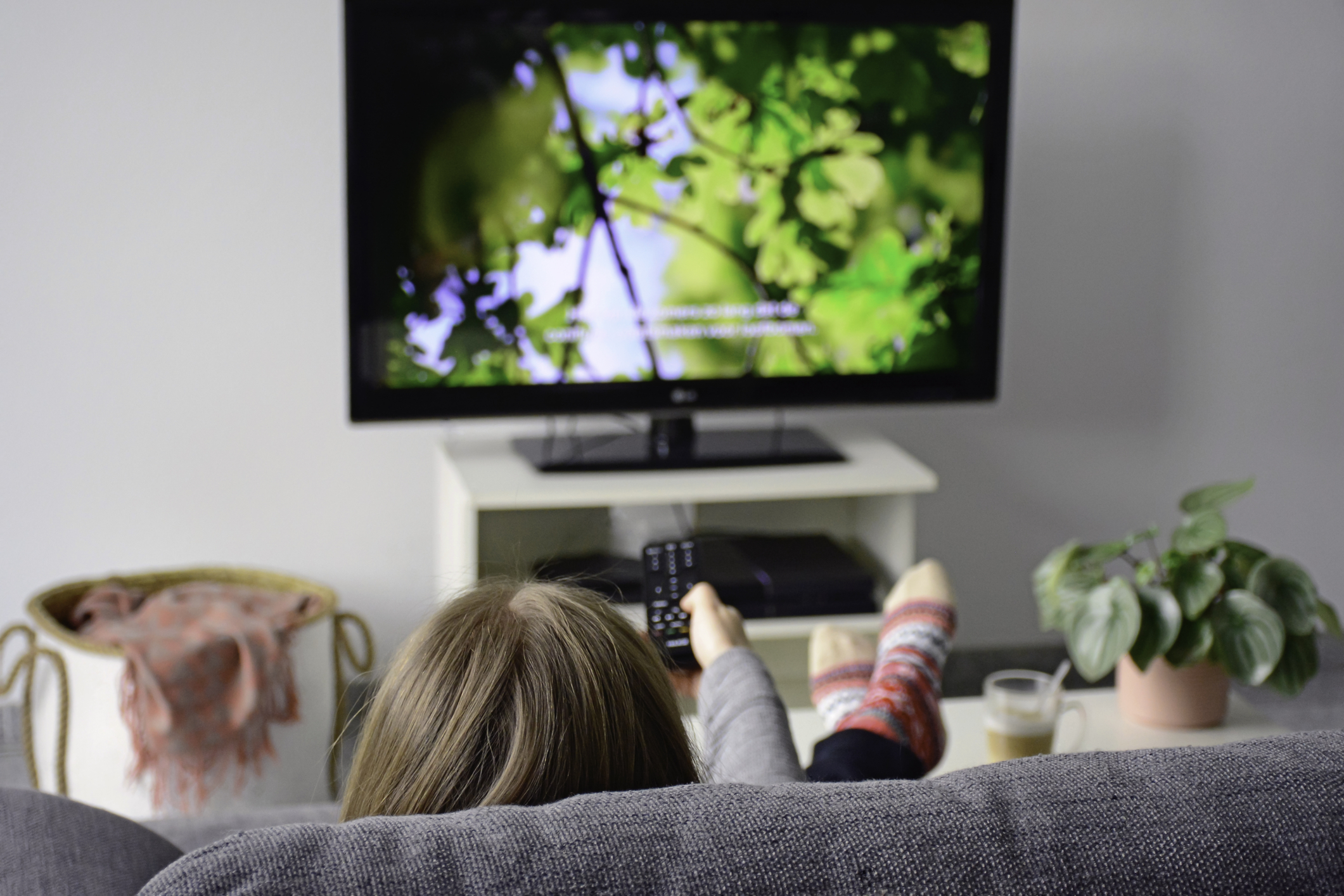 Person watching a nature documentary on their TV.