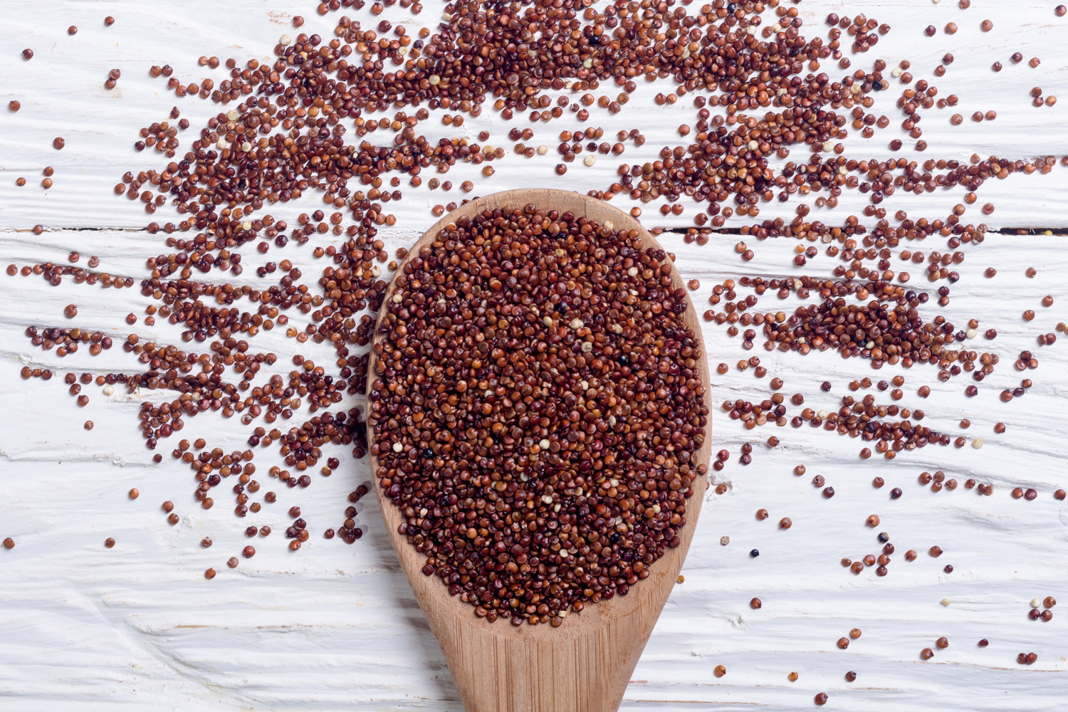 Red quinoa on a wooden spoon.