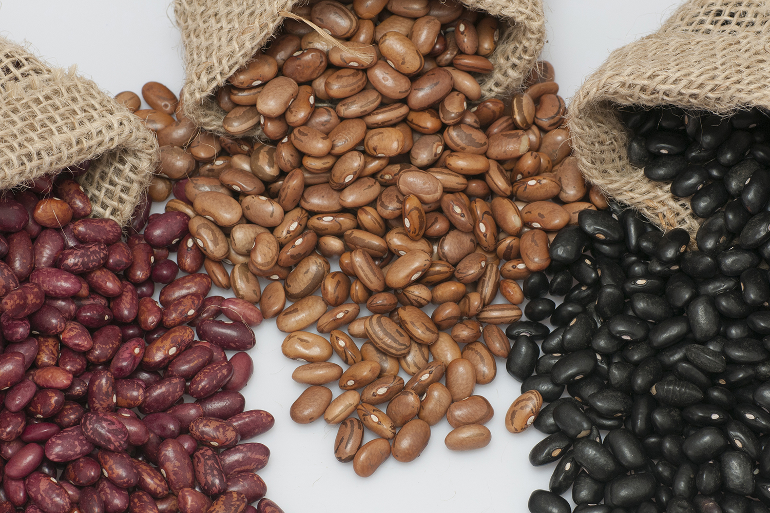 bags of pinto, kidney, and black beans