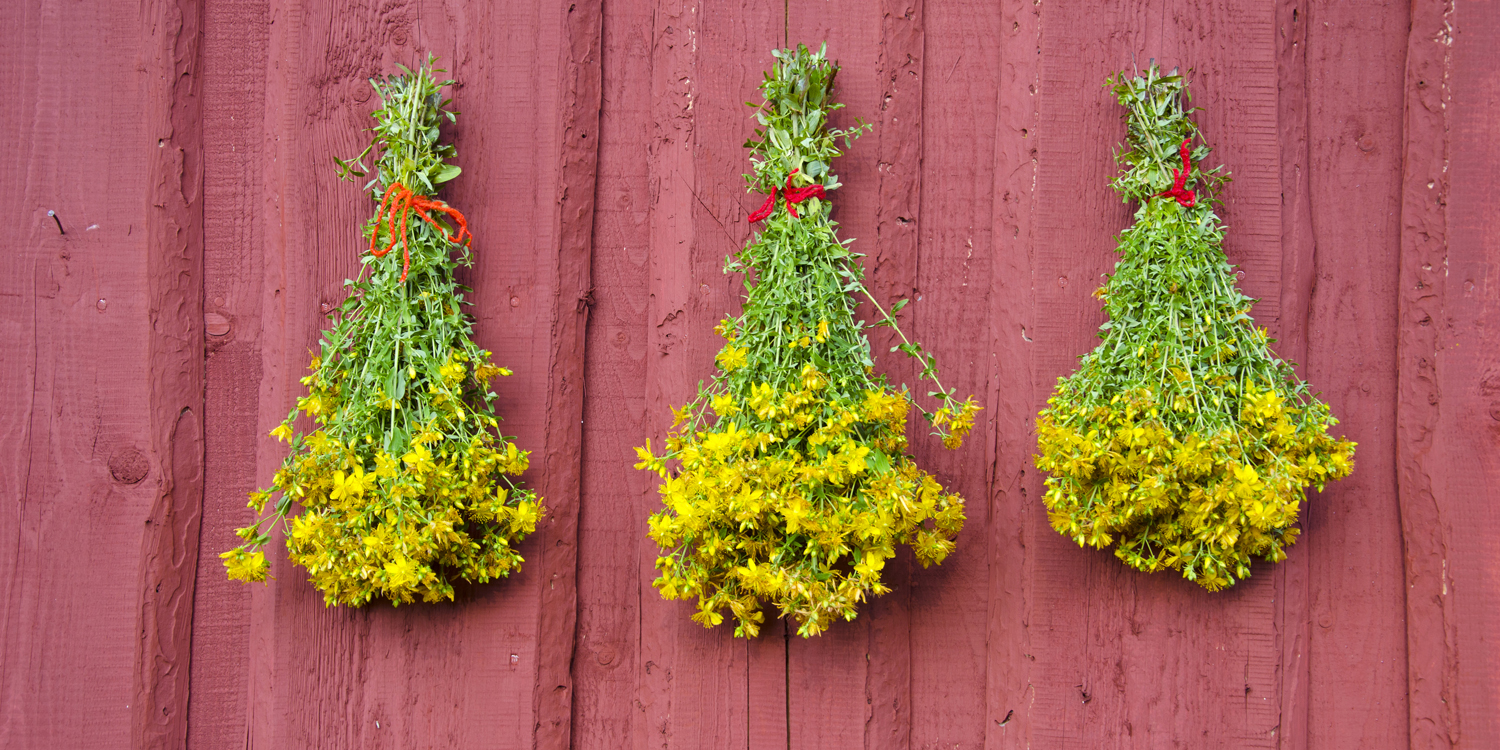 St. John's Wort