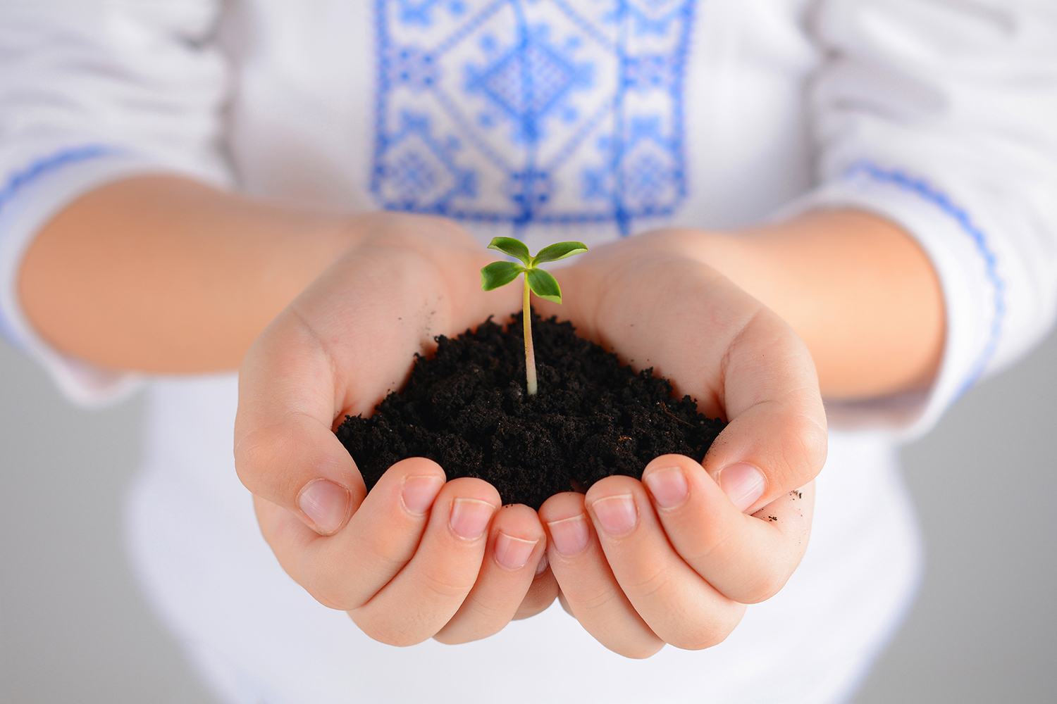 A little girl holding soil with a plant sprouting