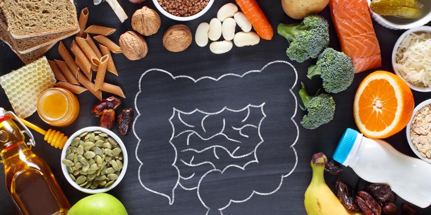 a drawing of an intestine, and a bunch of foods that are good for digestion