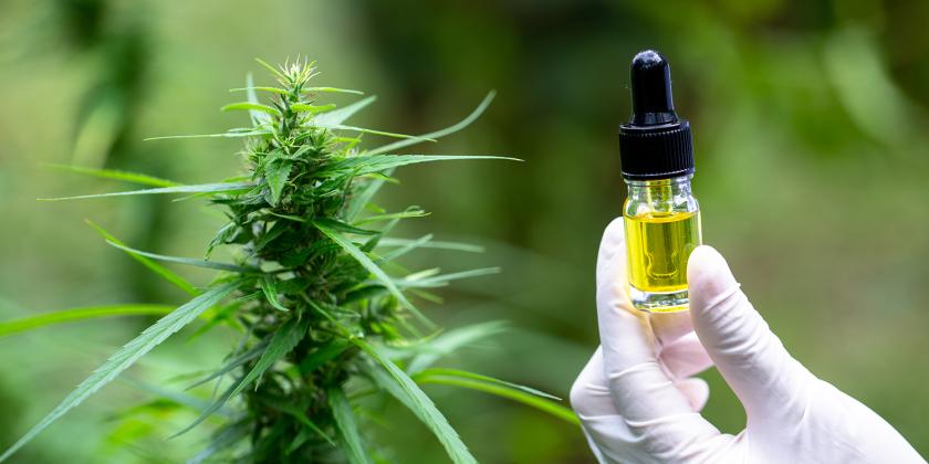 a botanist holding a vial of CBD in front of a hemp plant