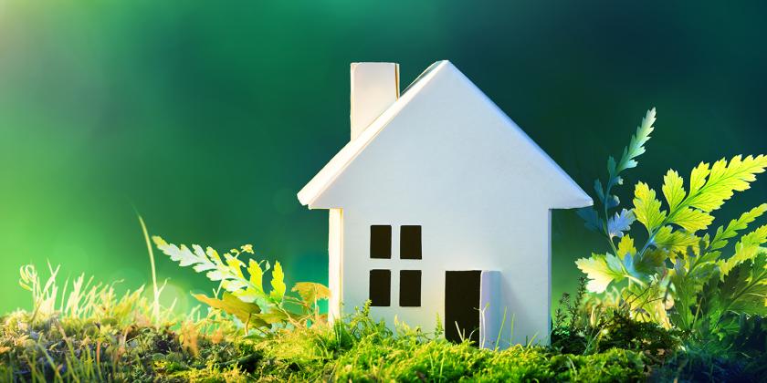 a diorama of a home in a clean environment of ferns and moss