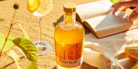 a bottle of Everleaf on a table in the sun