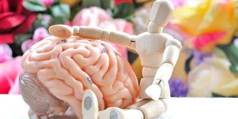 an artist's drawing model hugging a model of a brain