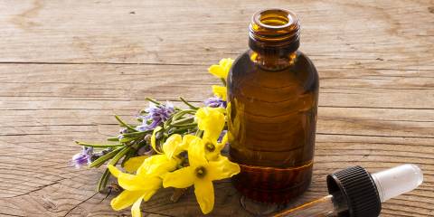 yin qiao san and a sprig of forsythia