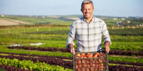 Organic farmer in a feild holding a harvest of vegetables.