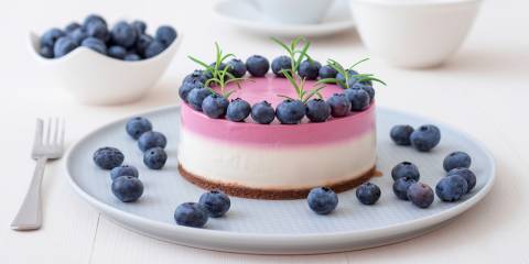 A blueberry cheesecake on a plate ready to serve.