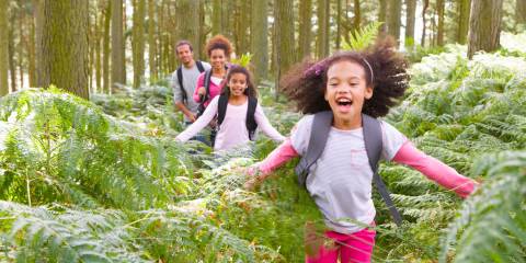 A family going on a hike through ferns in deep woods