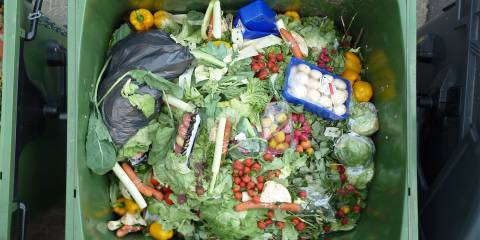 a commercial garbage container full of usable food from the store