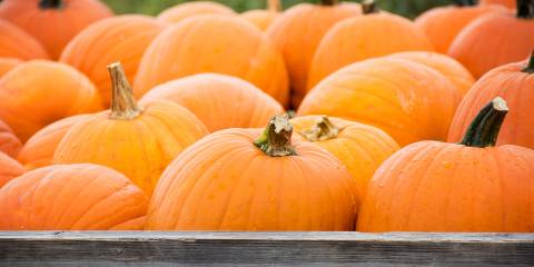the back of a wagon filled with pumpkins