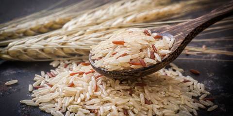 A spoonful of uncooked brown rice