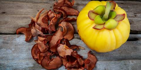 fresh gardinia cambogia fruit, and dried gardinia