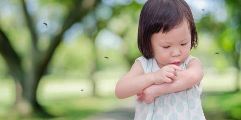 A little girl being swarmed by mosquitos, scratching a bite.