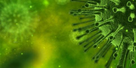 a rendering of a microscopic virus