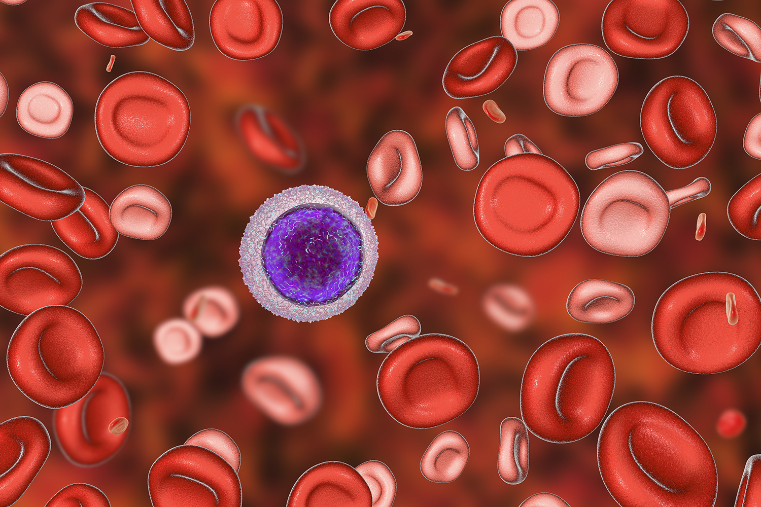 An illustration of red blood cells