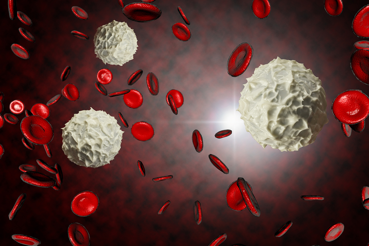 white blood cells in the bloodstream