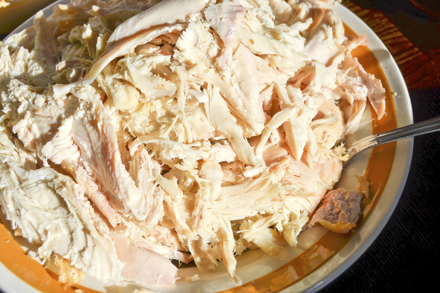 Leftover turkey meat, shredded on a dinner plate